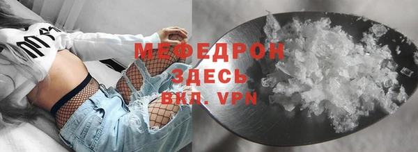 индика Абаза