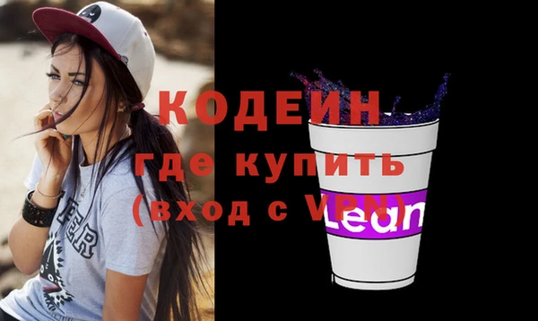 индика Абаза