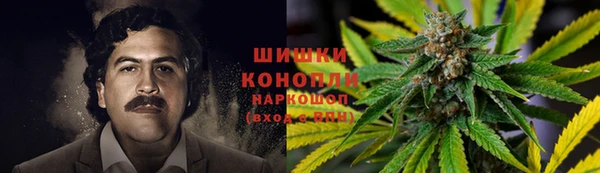 индика Абаза