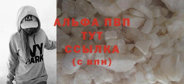 индика Абаза