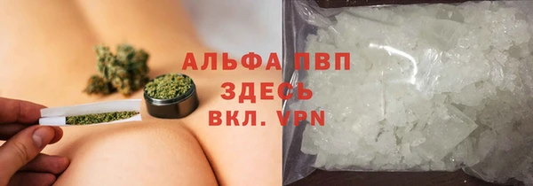 индика Абаза