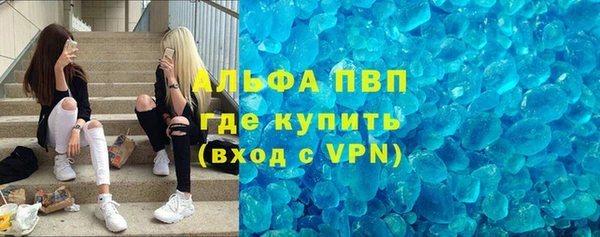 индика Абаза