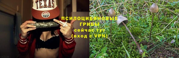 2c-b Абдулино