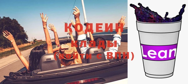 индика Абаза