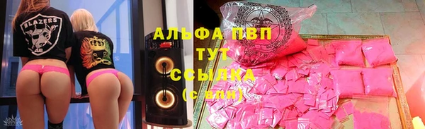 индика Абаза